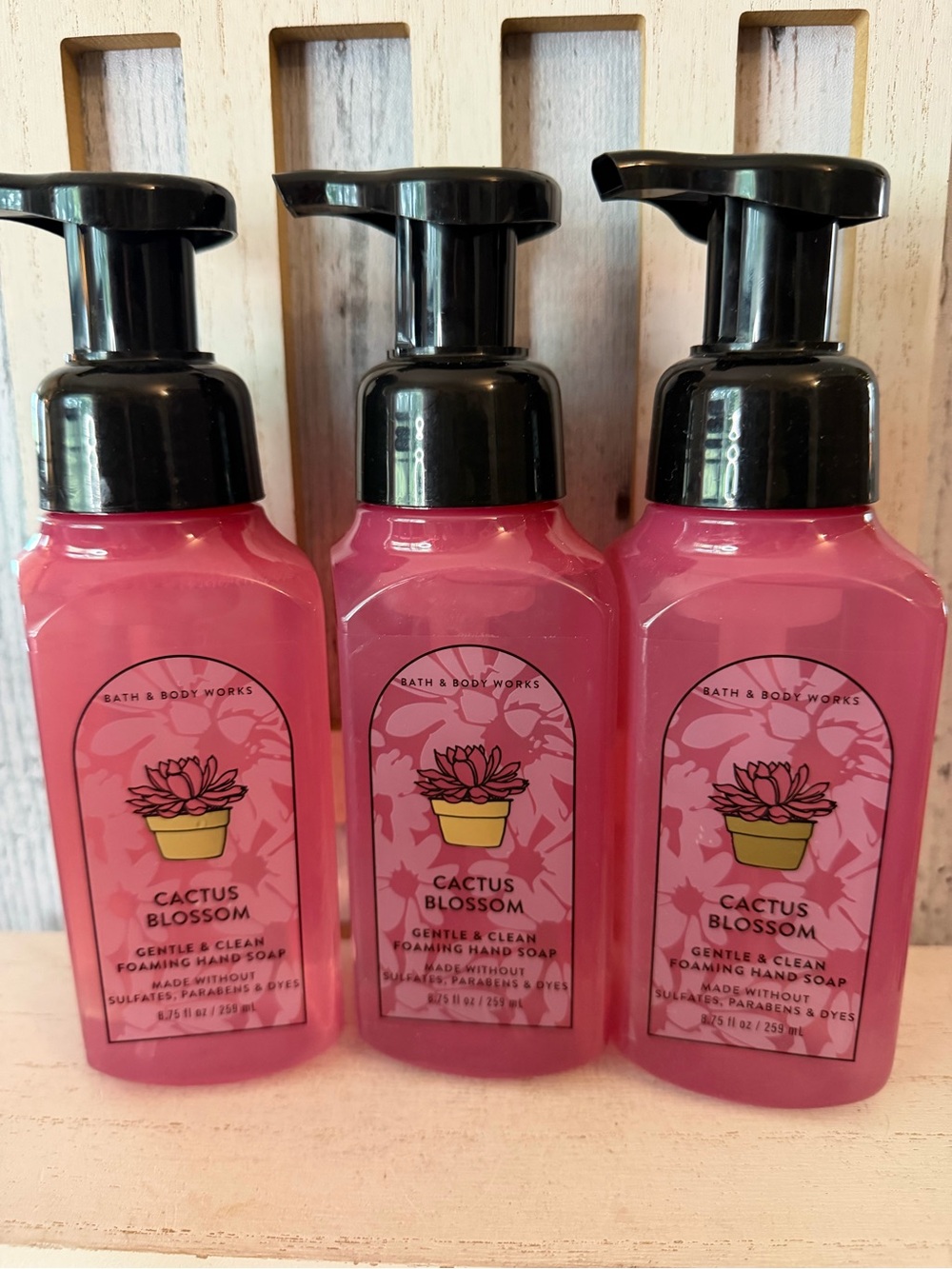 Bath & Body Works CACTUS BLOSSOM Gentle & Clean Foaming Hand Soap - Lot of 3 New